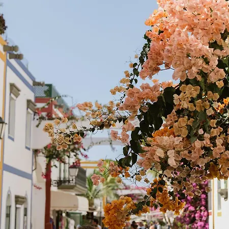 Dom Kubus Playa De Apartman Mogán